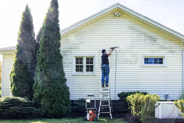Lockport, IL Pressure Washing Services Company